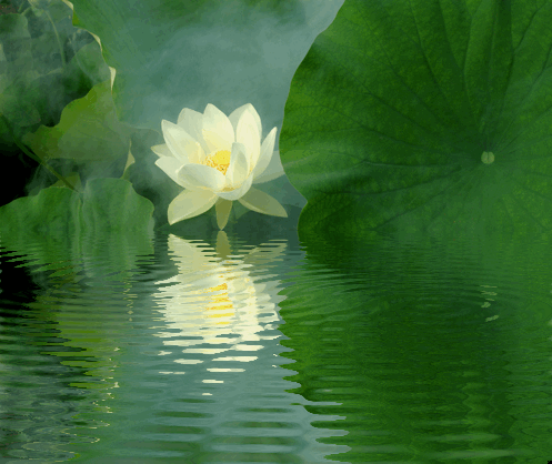 sedona healing massage lotus